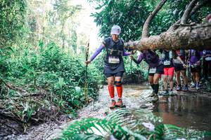 BIB: 
                            <button type="button" onclick="openModal(25465876)" class="btn btn-primary btn-sm float-right btn-popup" data-toggle="modal" data-target=".modal-high-quality">
                        <i class="fas fa-shopping-cart"></i> Add to Cart
                    </button>
                                            <button type="button" onclick="isThisMe(25465876, true)" class="btn btn-success btn-sm float-right btn-popup btn-isme hidden" data-toggle="tooltip" data-placement="bottom" title="นี่คือรูปของคุณใช่ไหม คลิกที่นี่เพื่อเอาเข้าอัลบั้ม">
                        <i class="fas fa-plus"></i> Add to album
                    </button>
                    <button type="button" onclick="isThisMe(25465876, false)" class="btn btn-warning btn-sm float-right btn-popup btn-isnotme hidden">
                        <i class="fas fa-ban"></i> Remove from album
                    </button>